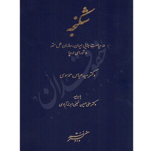 شکنجه در سیاست جنایی ایران، سازمان ملل متحد و شورای اروپا دکتر موسوی